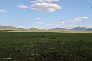 Lot 55 Concho Lakeland, Concho, AZ 85924 - Photo 1