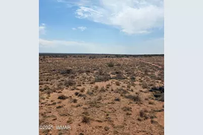 8317 Buckskin Trail, Snowflake, AZ 85937 - Photo 10