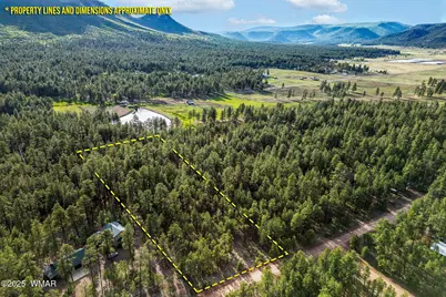 15 Co Rd 2083, Alpine, AZ 85920 - Photo 2