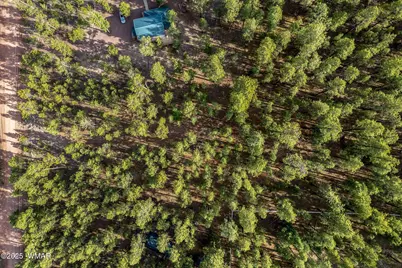 15 Co Rd 2083, Alpine, AZ 85920 - Photo 10