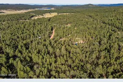 15 Co Rd 2083, Alpine, AZ 85920 - Photo 12