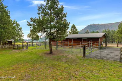 51 Main Street, Greer, AZ 85927 - Photo 76