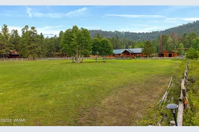 51 Main Street, Greer, AZ 85927 - Photo 64