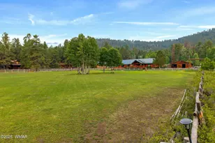 51 Main St, Greer, AZ 85927 - Photo 64