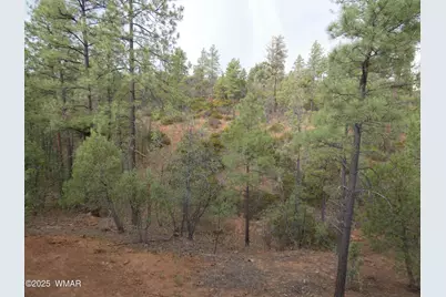 6356 Draco Drive, Lakeside, AZ 85929 - Photo 42