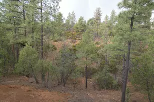 6356 Draco Dr, Lakeside, AZ 85929 - Photo 42