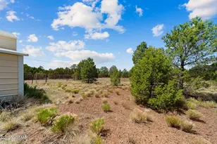 9 Acr 3307, Vernon, AZ 85940 - Photo 42