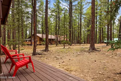 4 County Road 2089, Alpine, AZ 85920 - Photo 16