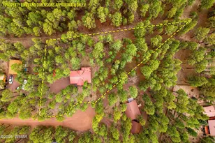 4 Co Rd 2089, Alpine, AZ 85920 - Photo 2