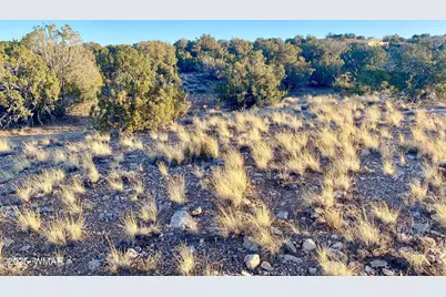 Tbd Co Rd 5062 2.39 Acres, Concho, AZ 85924 - Photo 12