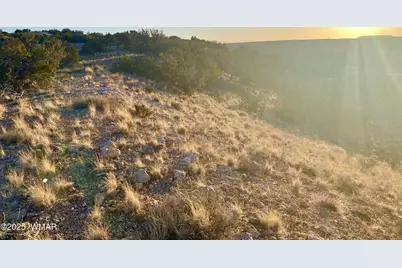 Tbd Co Rd 5062 2.39 Acres, Concho, AZ 85924 - Photo 16