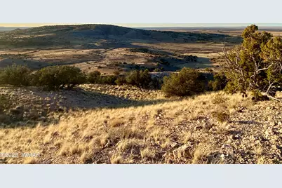 Tbd Co Rd 5062 2.39 Acres, Concho, AZ 85924 - Photo 4