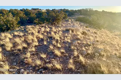 Tbd Co Rd 5062 2.39 Acres, Concho, AZ 85924 - Photo 10