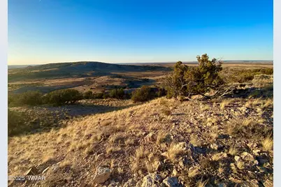 Tbd Co Rd 5062 2.39 Acres, Concho, AZ 85924 - Photo 8