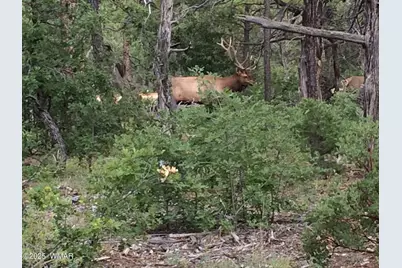 1901 S Little Creek Court, Show Low, AZ 85901 - Photo 6