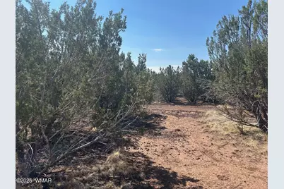 Lot 2 Stanford Drive, Vernon, AZ 85940 - Photo 2