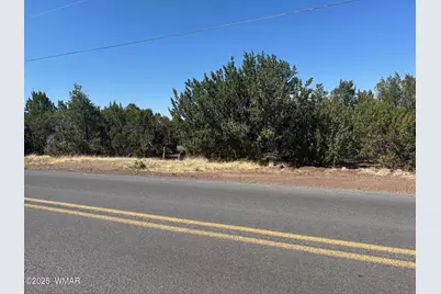 Lot 2 Stanford Drive, Vernon, AZ 85940 - Photo 6