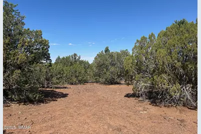 Lot 2 Stanford Drive, Vernon, AZ 85940 - Photo 4