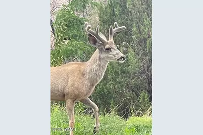 9410 Butler Trail, Snowflake, AZ 85937 - Photo 26