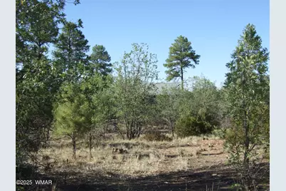 Parcel A Lamb Dr, Pinedale, AZ 85934 - Photo 8