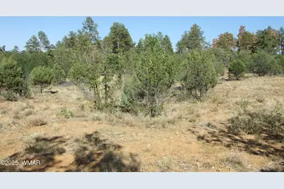 Parcel A Lamb Dr, Pinedale, AZ 85934 - Photo 2