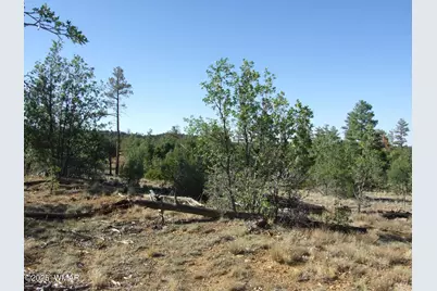 Parcel A Lamb Dr, Pinedale, AZ 85934 - Photo 4