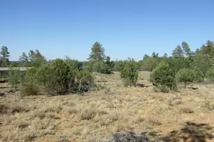 Parcel A Lamb Dr, Pinedale, AZ 85934 - Photo 1