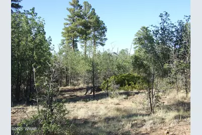 Parcel A Lamb Dr, Pinedale, AZ 85934 - Photo 6