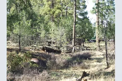 Parcel D Lamb Dr, Pinedale, AZ 85934 - Photo 4