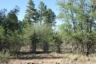 Parcel E Lamb Dr, Pinedale, AZ 85934 - Photo 1