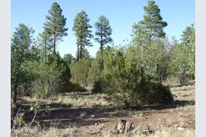 Parcel E Lamb Dr, Pinedale, AZ 85934 - Photo 4