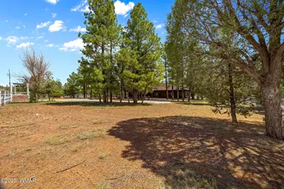 1955 Ricochet Ranch Road, Overgaard, AZ 85933 - Photo 36