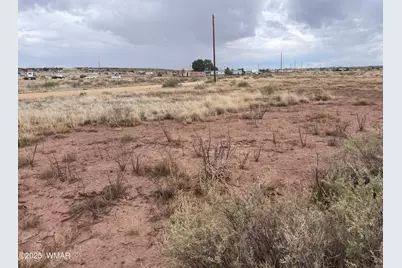 29 County Road 6010, Saint Johns, AZ 85936 - Photo 4