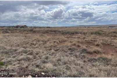 29 County Road 6010, Saint Johns, AZ 85936 - Photo 1