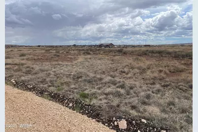 29 County Road 6010, Saint Johns, AZ 85936 - Photo 2