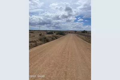 19 County Road 6012, Saint Johns, AZ 85936 - Photo 6
