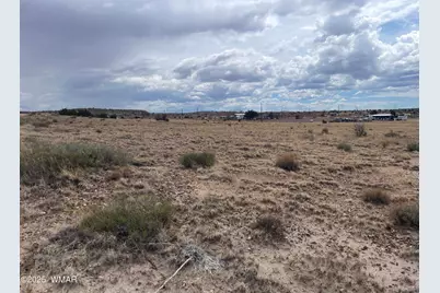 19 County Road 6012, Saint Johns, AZ 85936 - Photo 4