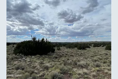 19 County Road 6012, Saint Johns, AZ 85936 - Photo 14