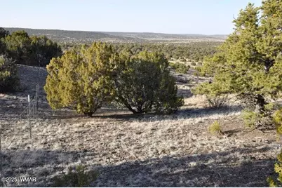 20 Co Rd 3 3044, Concho, AZ 85924 - Photo 8