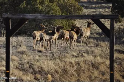 20 Co Rd 3 3044, Concho, AZ 85924 - Photo 2