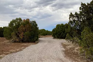 Lot 34 Winchester Trails, Vernon, AZ 85940 - Photo 20
