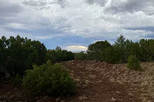 Lot 34 Winchester Trails, Vernon, AZ 85940 - Photo 24
