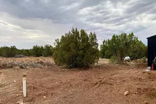 Lot 34 Winchester Trails, Vernon, AZ 85940 - Photo 20