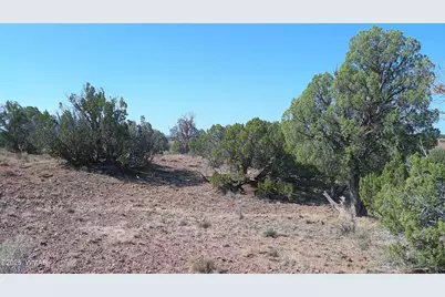 Tbd Wicked Sisters Way 38Ac, Concho, AZ 85924 - Photo 34