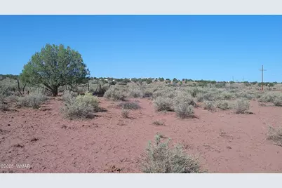 Tbd Wicked Sisters Way 38Ac, Concho, AZ 85924 - Photo 30
