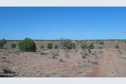 Tbd Wicked Sisters Way 38Ac, Concho, AZ 85924 - Photo 32