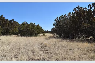 Tbd Stanford Road, Concho, AZ 85924 - Photo 4