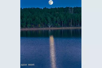 921 E Lauren Court, Show Low, AZ 85901 - Photo 34