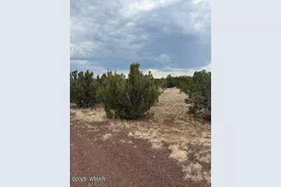 78 County Road 8010, Concho, AZ 85924 - Photo 4