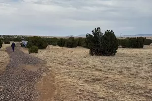 78 County Road 8010, Concho, AZ 85924 - Photo 1